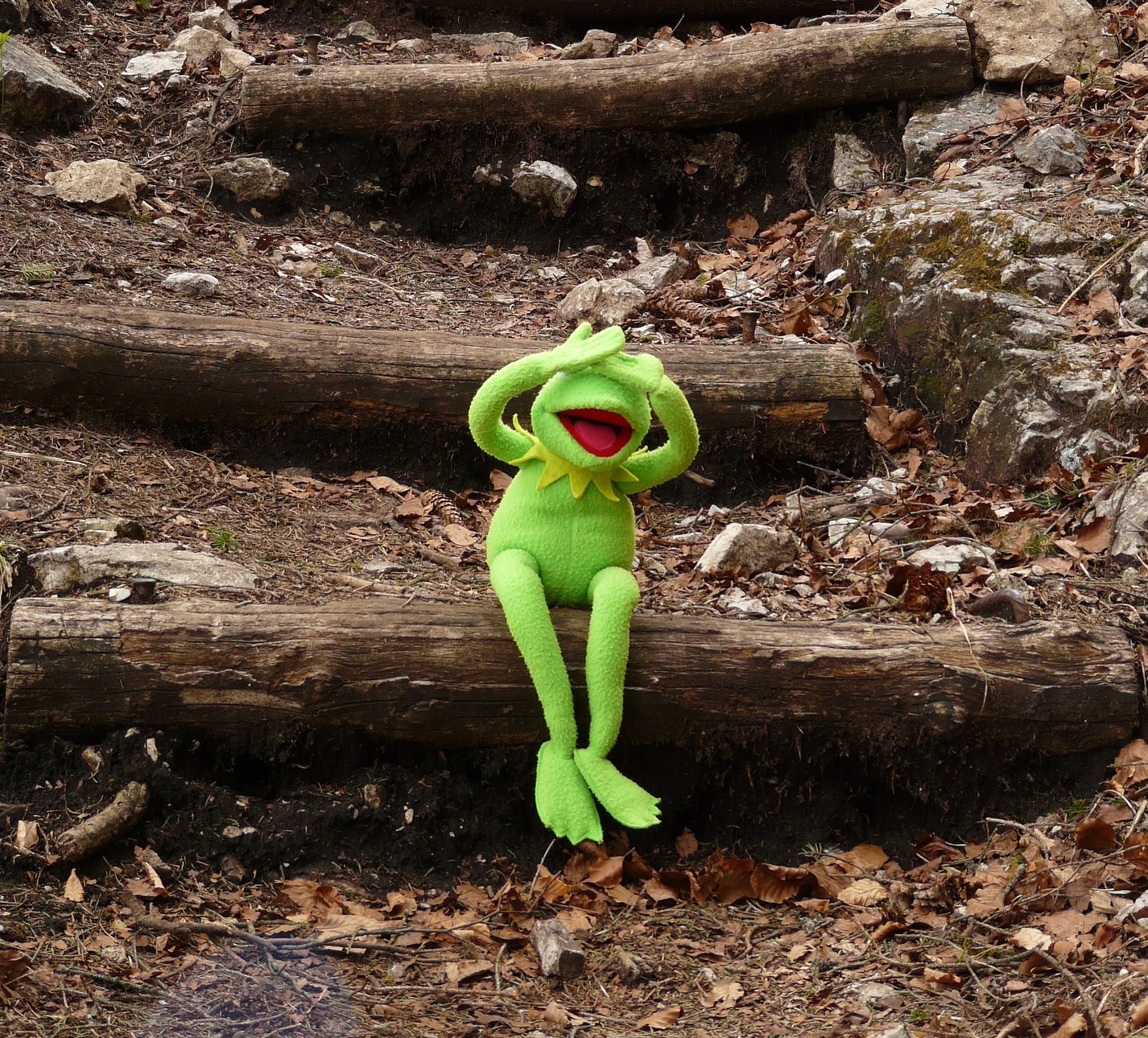 Kermit der Frosch sitzt auf einem Ast und hält sich die Arme vor den Kopf